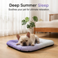 💖❄️Pet Cooling Mat for Dogs & Cats 🐾 Naturally Cool Ice-Silk Pad • Breathable, Washable & Soft 🌿  For Floors, Sofas & Car Travel • Multiple Sizes • Gradient Colours ☀️🐶🐱