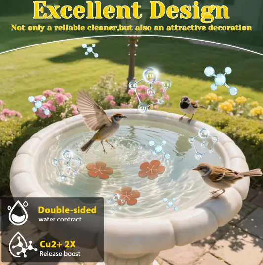 Natural Algae Inhibitor for Bird Baths & Fountains