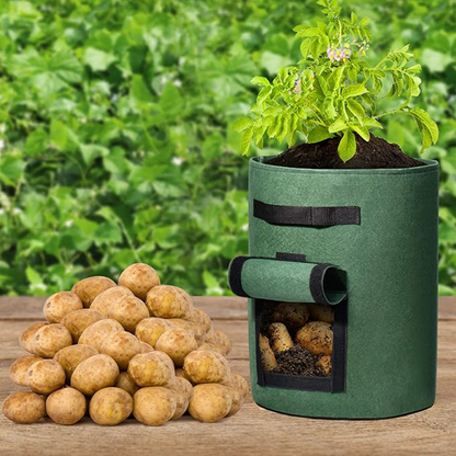 Buy 2 Get 1 Free 🚀Cloth crop planting bags with harvesting windows
