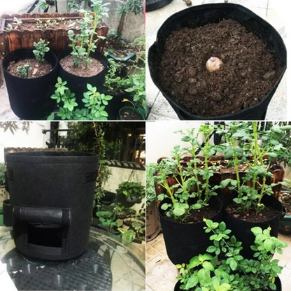 Buy 2 Get 1 Free 🚀Cloth crop planting bags with harvesting windows