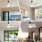 ⏳LAST DAY SALE 49% OFF🔥40W LED Ceiling Fan Light – 20.5” Ultra-Quiet with Remote 🎯 | E27 + FREE B22 Adapter 🔌 | For Bedroom 😴, Kitchen 👩‍🍳 & Garage 🛠️ – UK Ready! 🇬🇧