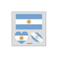 (10PCS)🏆World Cup 2026 Deals⚽🔥World Cup Flag Temporary Tattoos for Sports Fans🥳