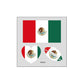 (10PCS)🏆World Cup 2026 Deals⚽🔥World Cup Flag Temporary Tattoos for Sports Fans🥳