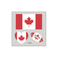 (10PCS)🏆World Cup 2026 Deals⚽🔥World Cup Flag Temporary Tattoos for Sports Fans🥳