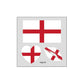 (10PCS)🏆World Cup 2026 Deals⚽🔥World Cup Flag Temporary Tattoos for Sports Fans🥳
