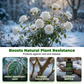 High-Efficiency Moisturizing Plant Nutrient Liquid