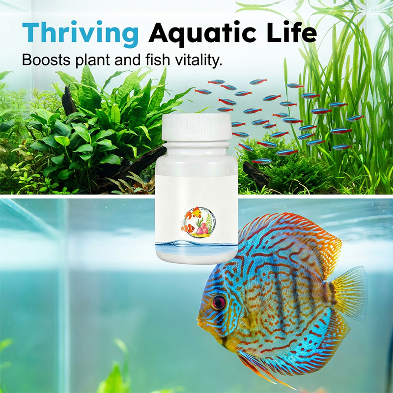 ⌛Buy more, Save more⏰🌿Instant Water Dechlorinator for Fish Tanks
