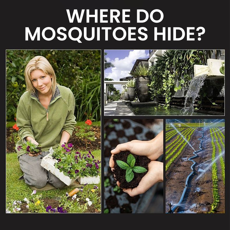 ☀️Solar Mosquito Zapper Light ✨– Outdoor Garden Stake Lamp, UV Insect Killer & Solar Pathway Light🦟🚫