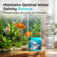 High-Efficiency Aquarium Water Purification Tablets