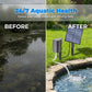 Over 50,000 units sold! 💧🐟 50% off!🔥Solar Pond Aerator with Air Pump