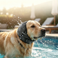 🐱LAST DAY SALE: ONLY $9.99!!🎁✨Waterproof Dog Calming Hoodie
