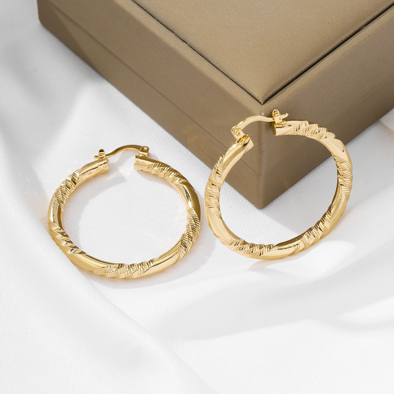 Women's Elegant Twisted Hoop Earrings