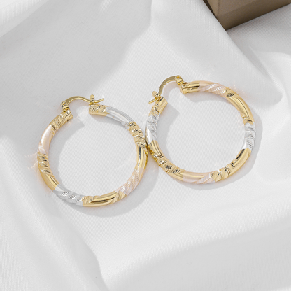 Women's Elegant Twisted Hoop Earrings