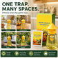 ❄️Summer Freshness 50% Discount!🌿Reusable Fly Trap with Attractant – Insecticide-Free Fruit Fly Catcher for Kitchen, Patio & Garden